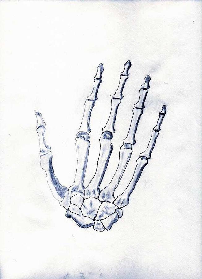skeleton hand sketch