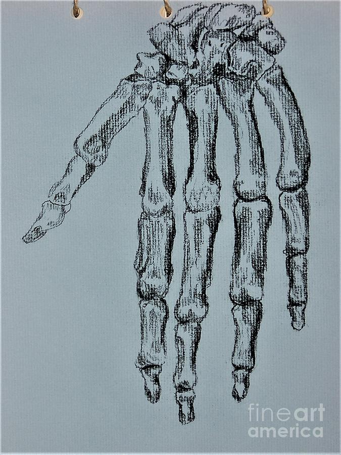 Skeleton Hand Sketch Drawing By Amber Ryder