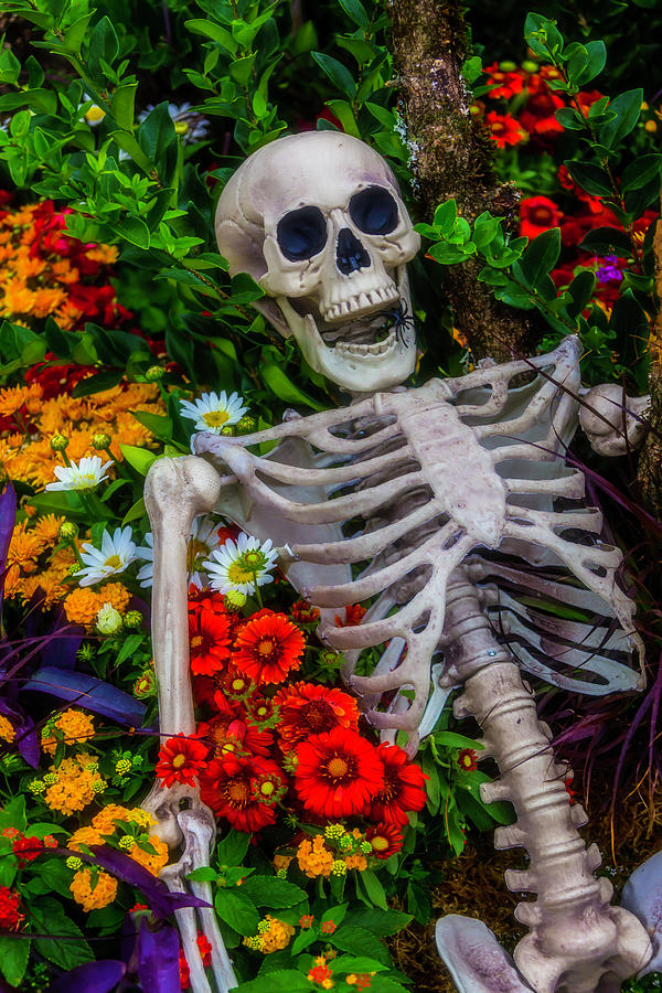 Skeleton In The Garden Photograph by Garry Gay