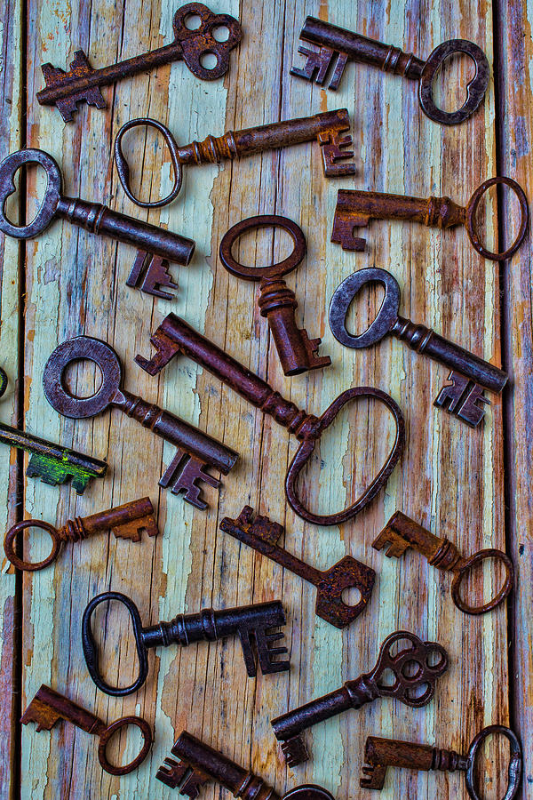 Skeleton Keys Photograph by Garry Gay