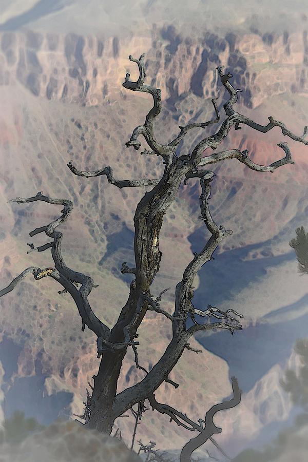 Skeleton Over the Canyon Photograph by Nadalyn Larsen