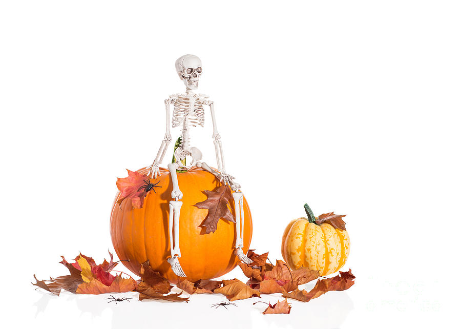 Pumpkin Photograph - Skeleton Sitting On Pumpkin by Amanda Elwell