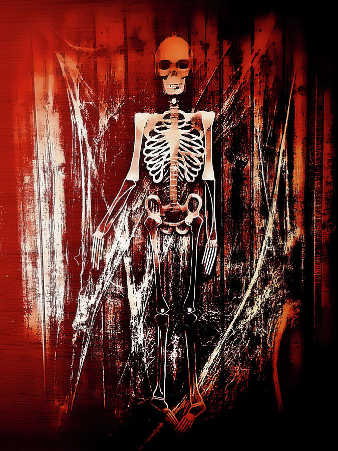 Abstract Photograph - Skeleton by Tom Gowanlock