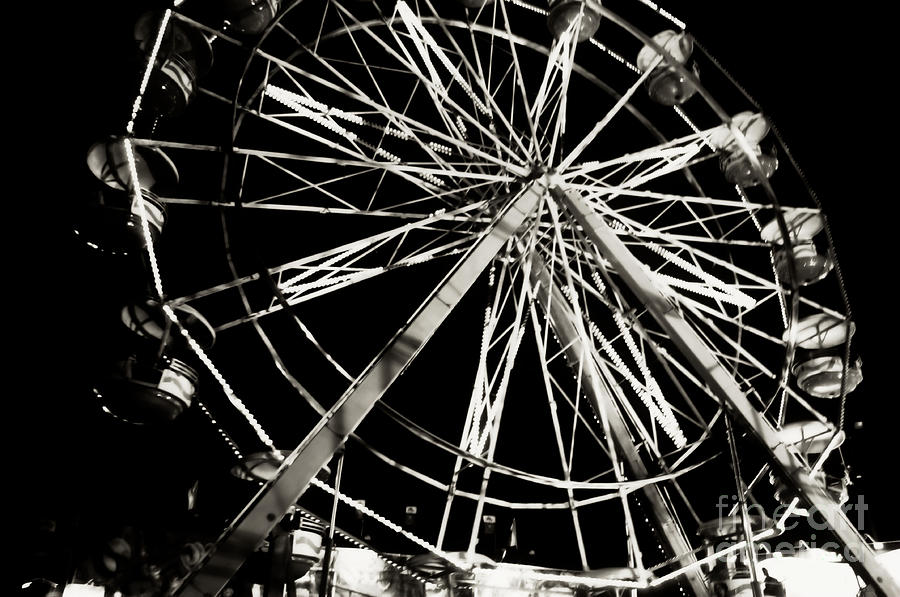 Skeleton  Wheel 2  Photograph by September Stone