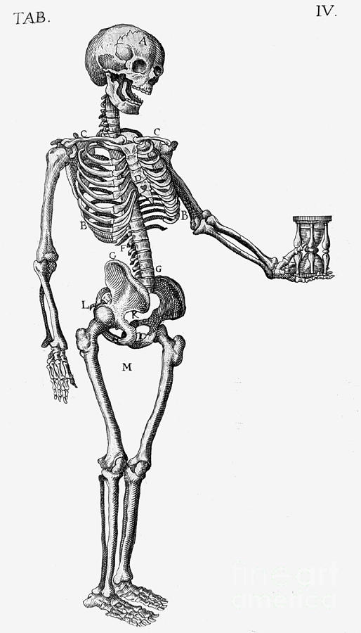 Skeleton With Hourglass, 16th Century Photograph by Wellcome Images