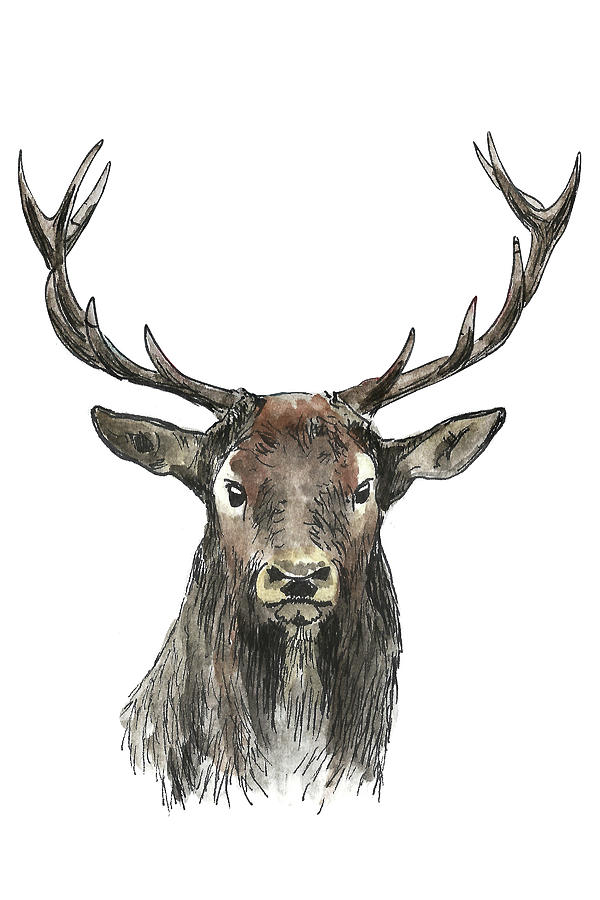 Sketch Deer Painting by Masha Batkova
