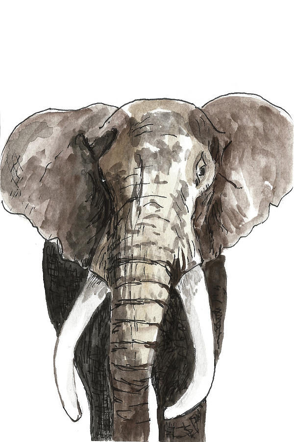 Sketch Elephant Painting by Masha Batkova