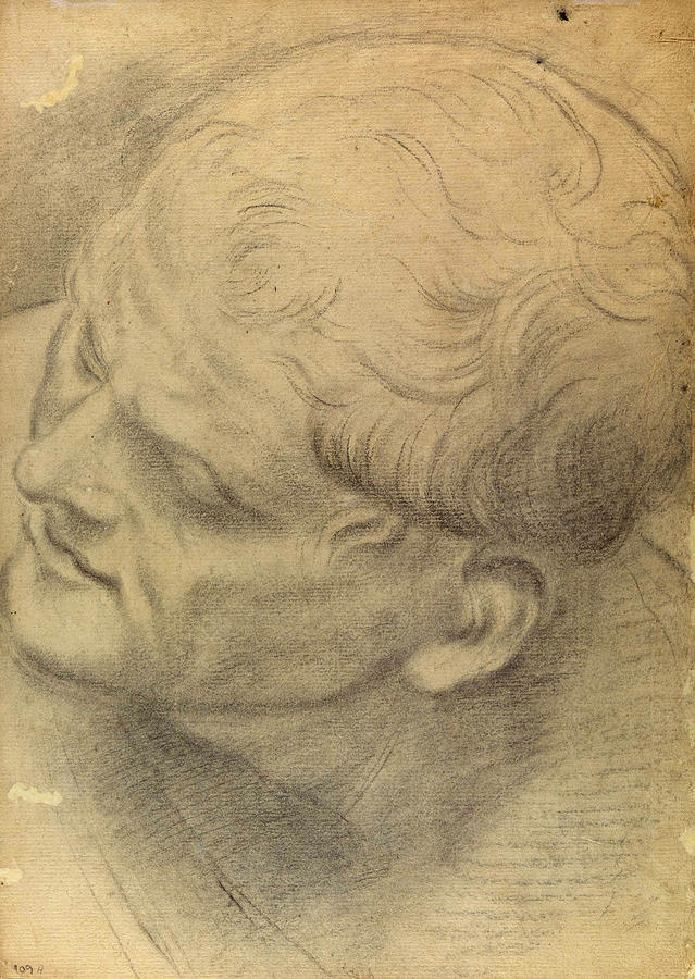 Sketch of a male head seen from above Drawing by Domenico Maria Canuti