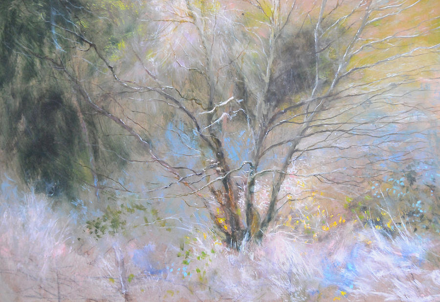 Sketch of Halation effect through Trees Painting by Harry Robertson