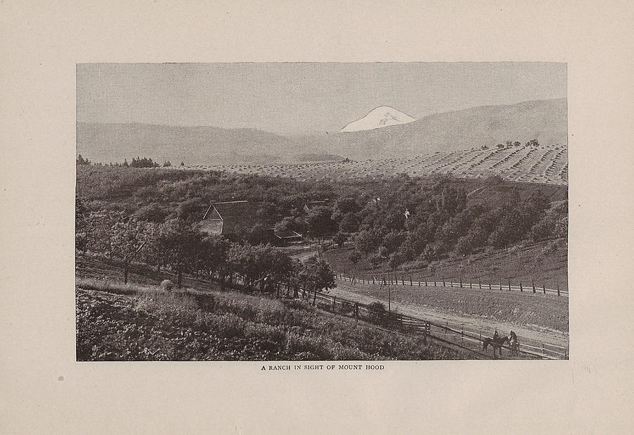 Sketch of Ranch Near Mount Hood From 1908 Tour Guide Photograph by Chicago and North Western Historical Society