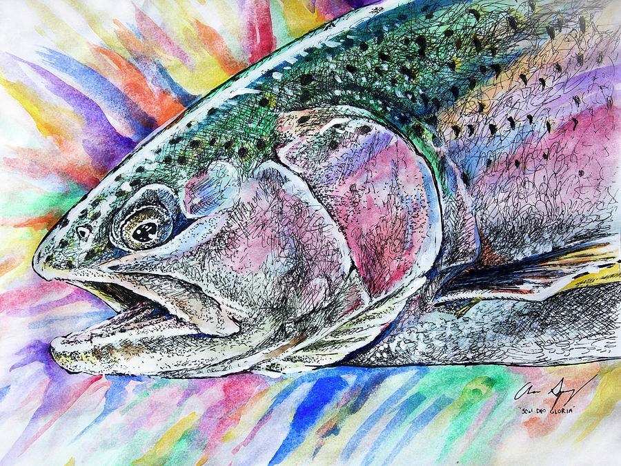 Sketch - Rainbow Trout Color Drawing by Aaron Spong