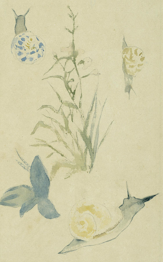Sketches of snails, flowering plant Drawing by Edouard Manet