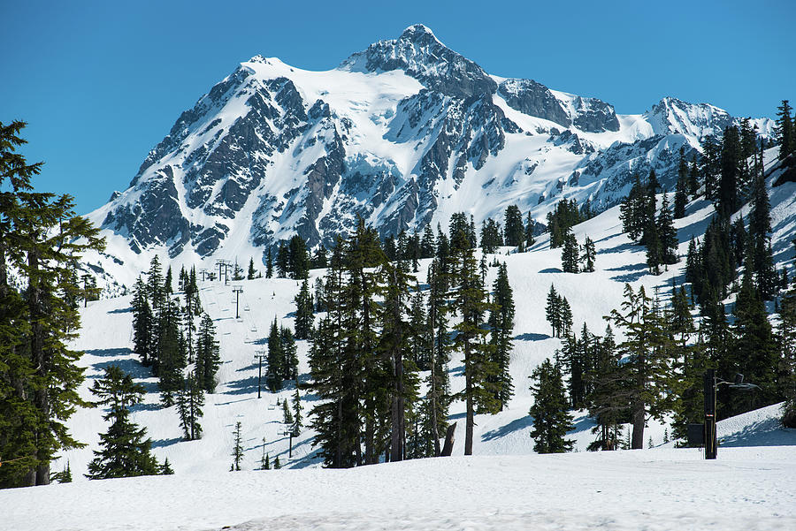 Mt Baker Ski Area Photograph by Tom Cochran