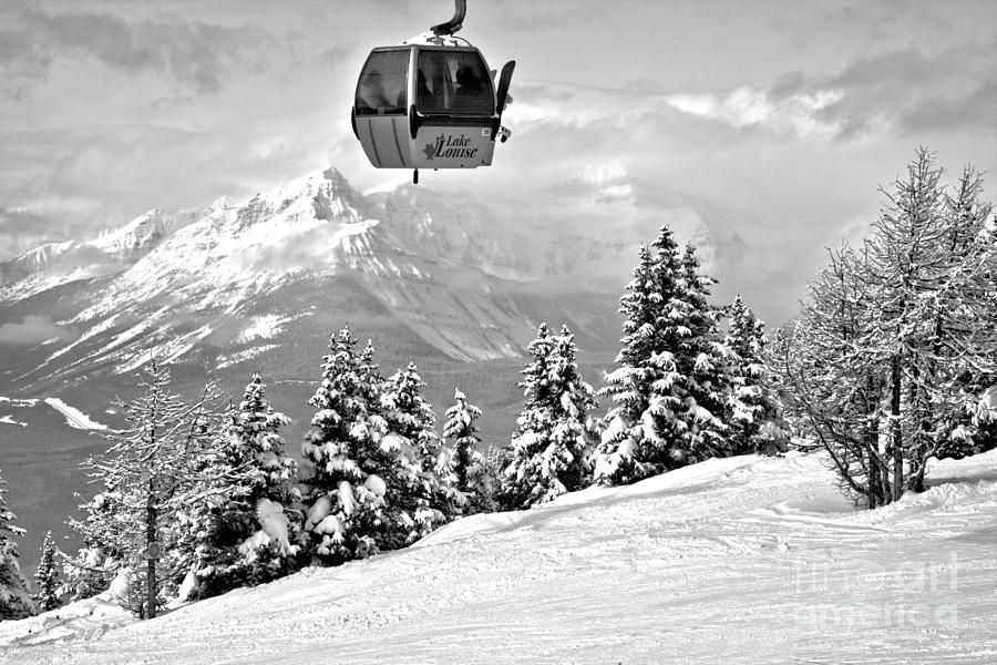 Ski Louise Gondola In The Sky Black And White Photograph by Adam Jewell