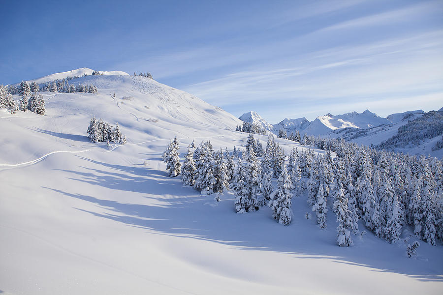 Ski Tracks Photograph by Tim Grams - Fine Art America