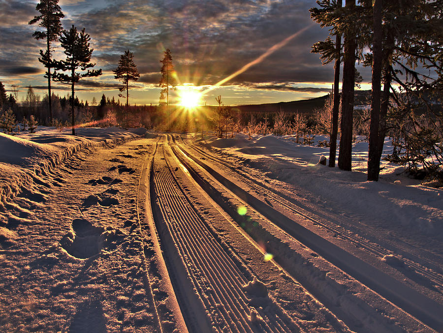 Winter Photograph - Ski trails with sun beams by Tamara Sushko