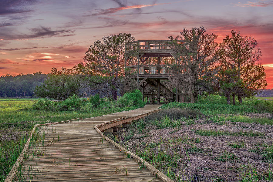 Skidaway Island State Park Overlook Photograph by Travelers Pics