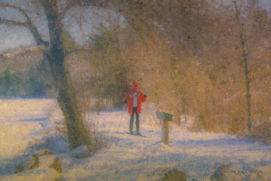 Skier on Pond Edge Trail at Borderland Painting by Bill McEntee