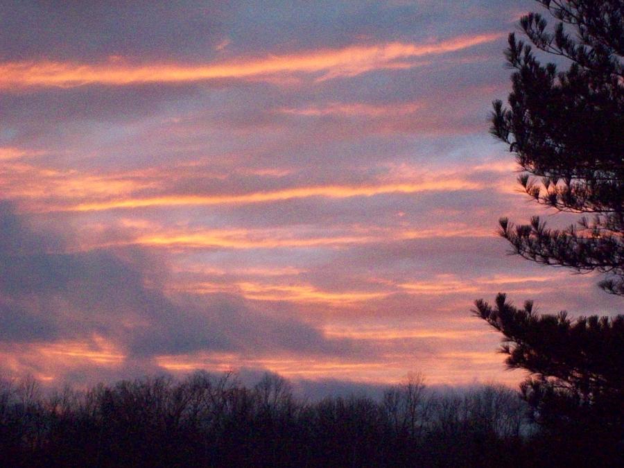 Skies 1211 Photograph by Robin Coaker