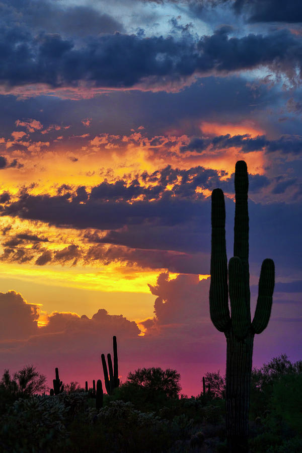 Skies Aglow in Arizona  Photograph by Saija Lehtonen