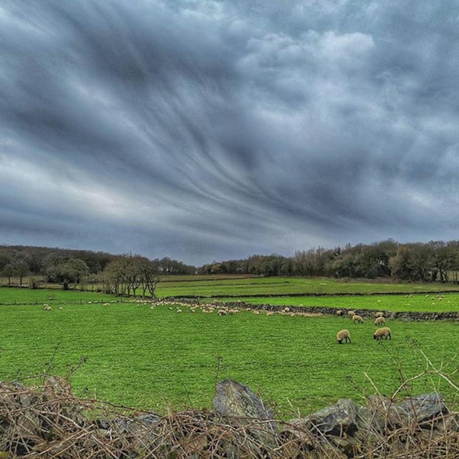 Landscape Photograph - Skies And Sheep In The Leicestershire by Chris Smith