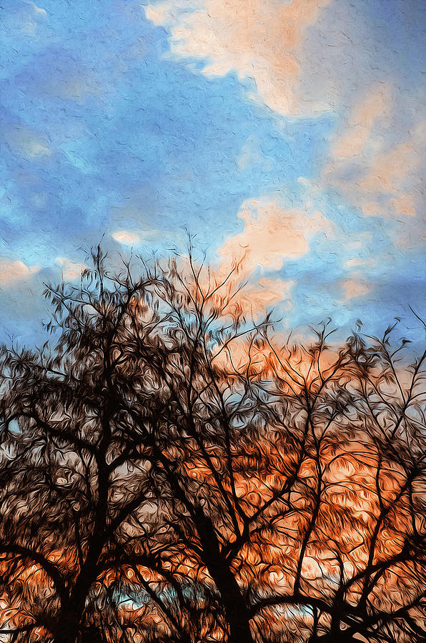 Skies and Trees Painting by AM FineArtPrints