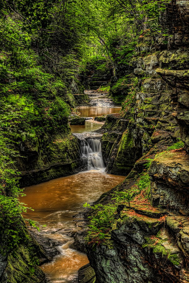 Nature Photograph - Skillet Creek Through Pewits Nest by Dale Kauzlaric