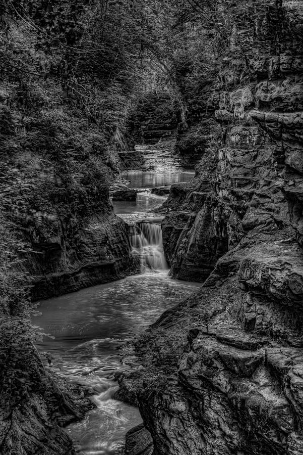 Skillet Creek Through Pewits Nest in Black and White Photograph by Dale Kauzlaric