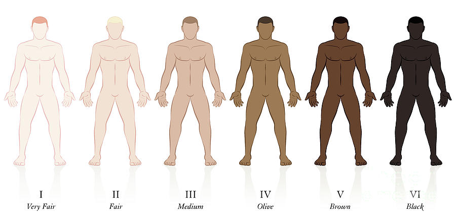 Skin Types Men Body Fair Pale Blonde Brown Black by Peter Hermes Furian