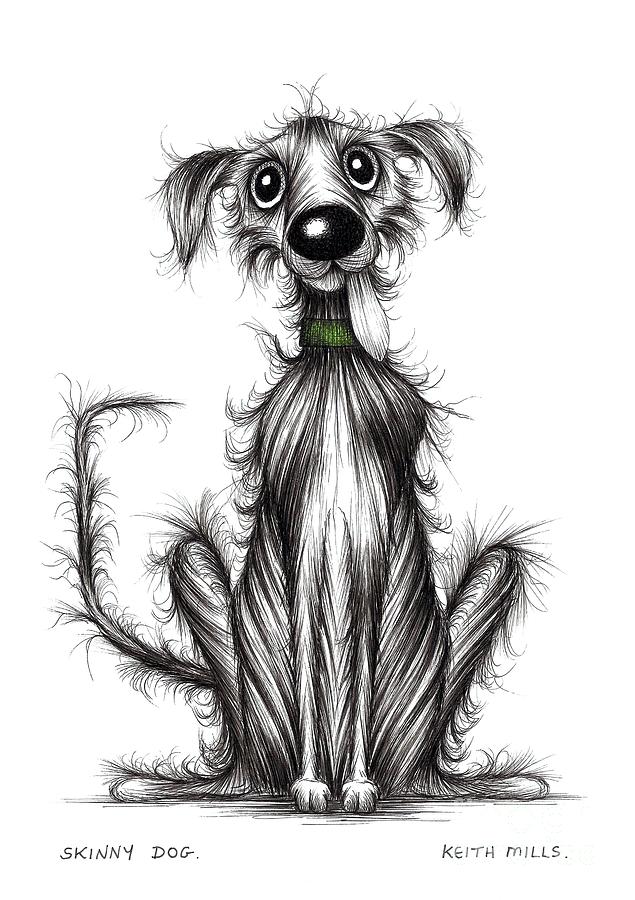 Skinny dog Drawing by Keith Mills