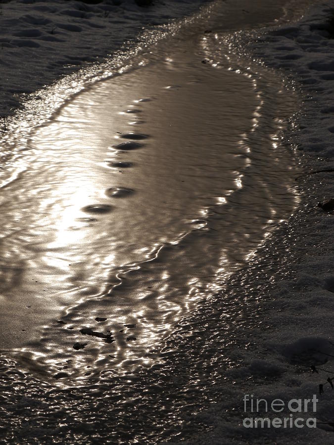 Skipping stones by Jane Ford Skipping stones by Jane Ford
