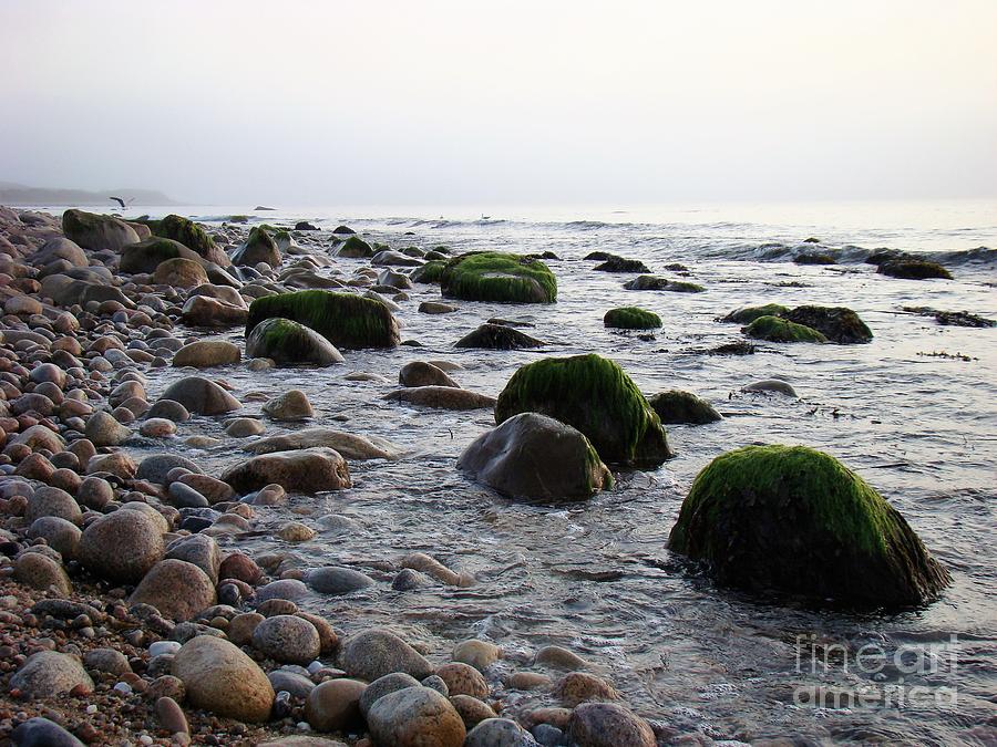 Ocean Photograph - Skipping Stones by Karen Velsor