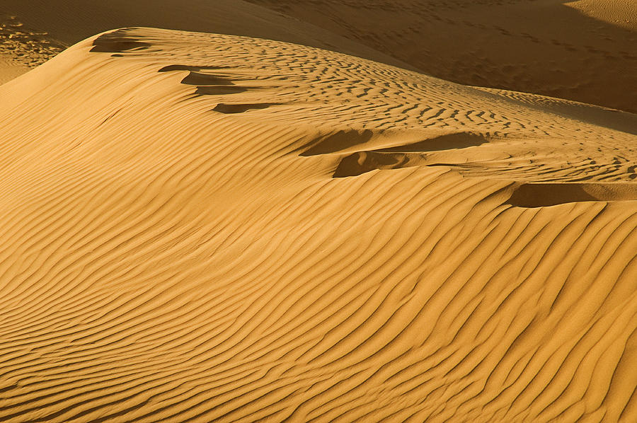 SKN 1096 Sand Stripes Photograph by Sunil Kapadia