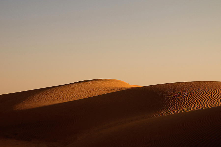 SKN 1106 Sand and Sunlight Photograph by Sunil Kapadia
