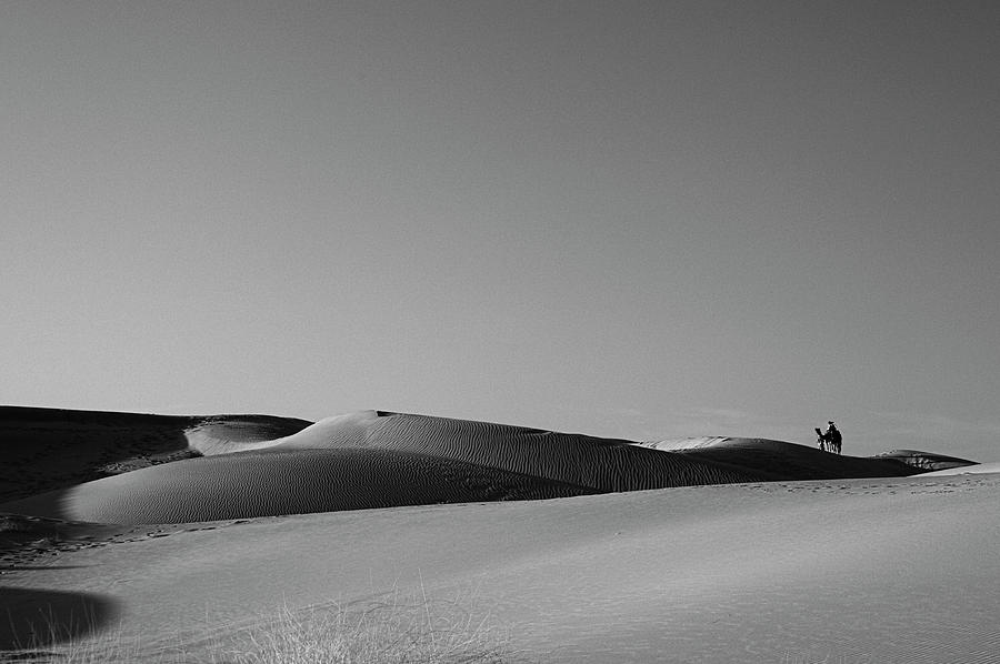 SKN 1115 A Ride of the Desert Photograph by Sunil Kapadia