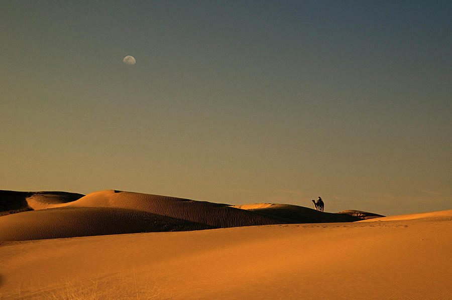 SKN 1117 Camel Ride at 6 Photograph by Sunil Kapadia