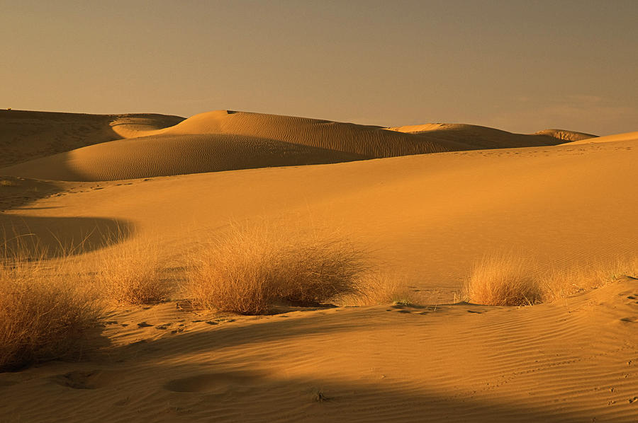 SKN 1124 Desert Landscape Photograph by Sunil Kapadia