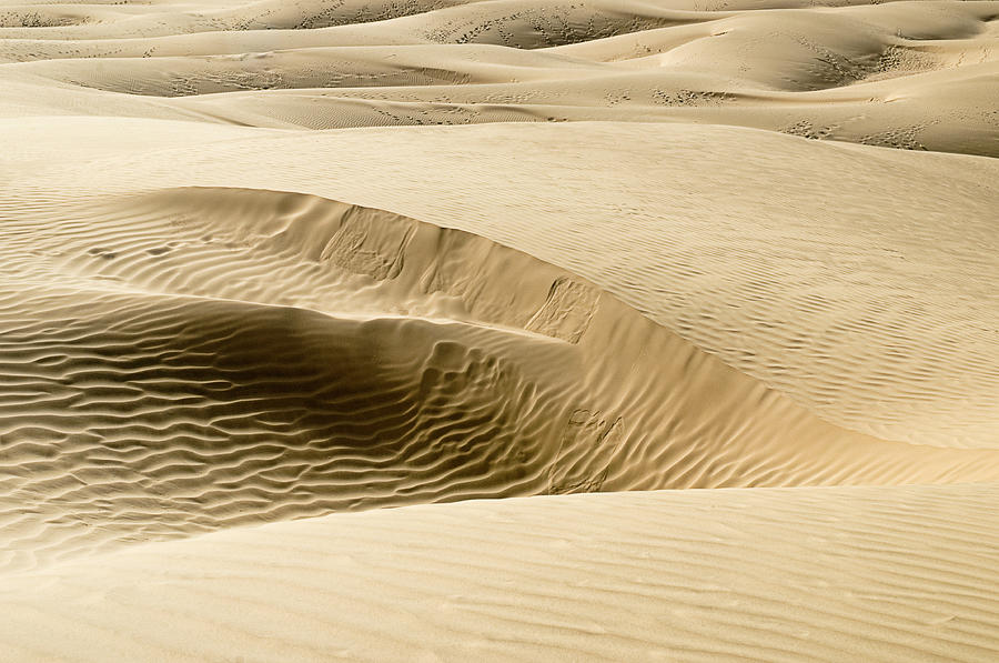 SKN 1410 Dune Design Photograph by Sunil Kapadia