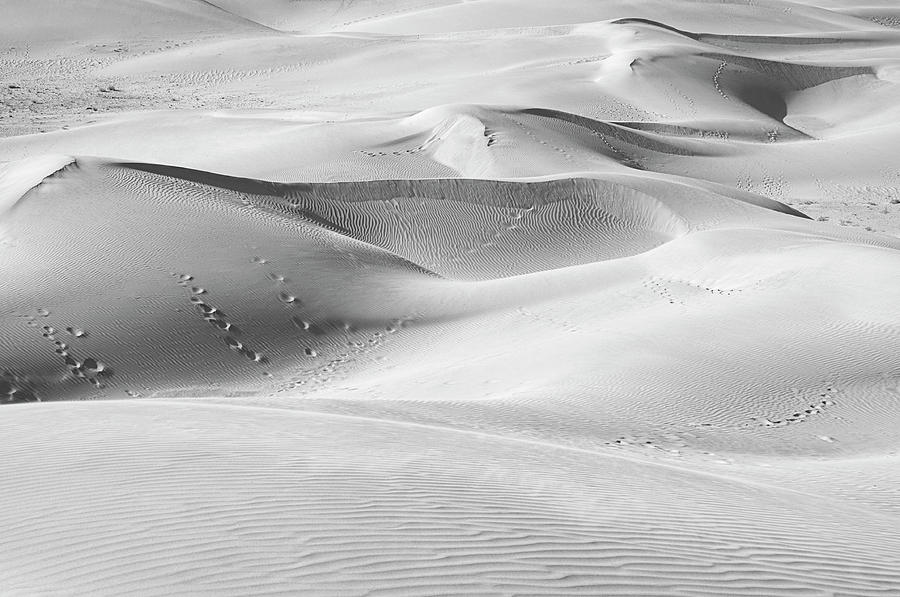 SKN 1423 Serpentine Dunes Photograph by Sunil Kapadia