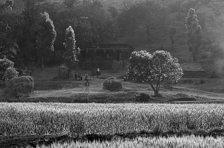 SKN 6457 Farmers Yield B/W Photograph by Sunil Kapadia