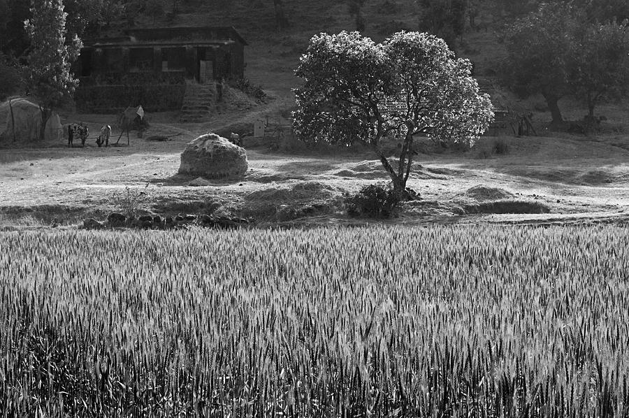 SKN 6459 Village Scenario B/W Photograph by Sunil Kapadia