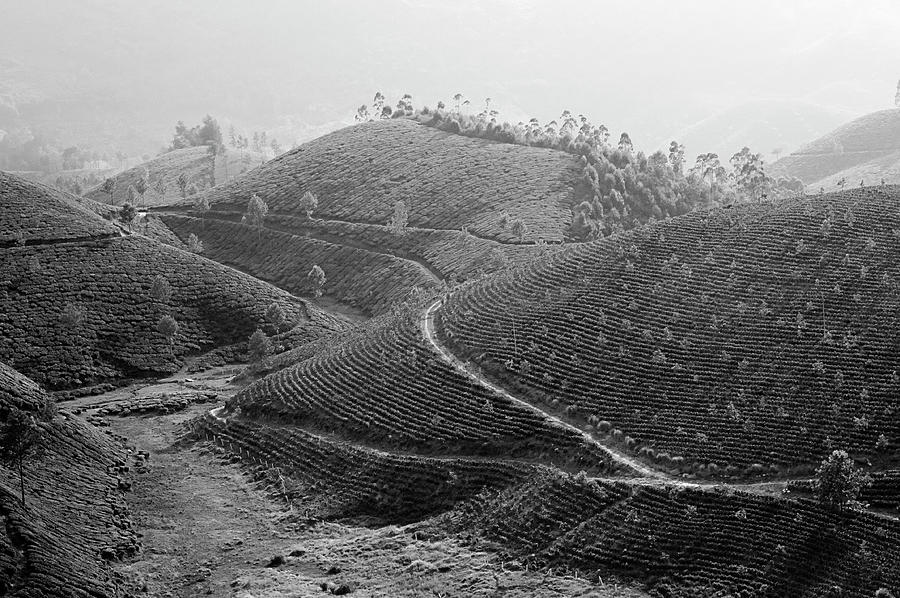SKN 6536 Curves and Bends. B/W Photograph by Sunil Kapadia
