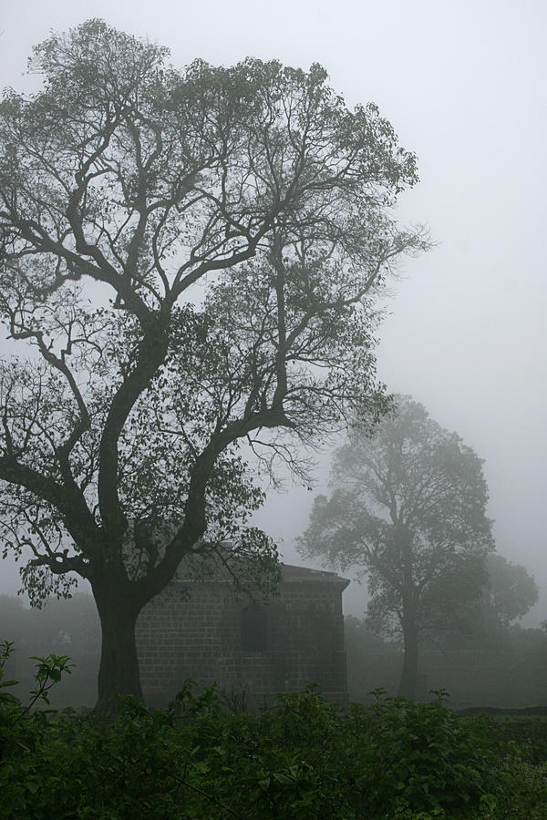 SKP 0062 The Monsoon Fog Photograph by Sunil Kapadia