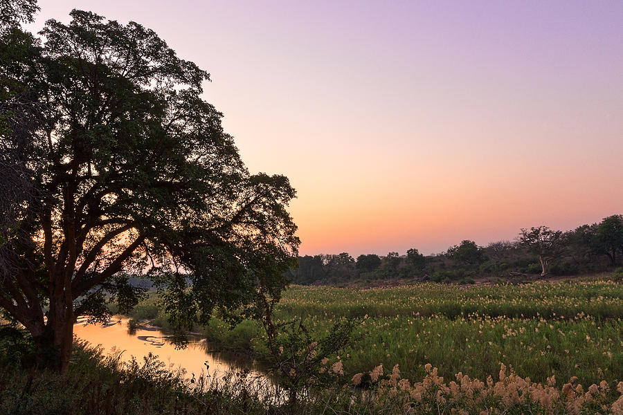 Skukuza Twilight Photograph by Nicolas Raymond - Fine Art America