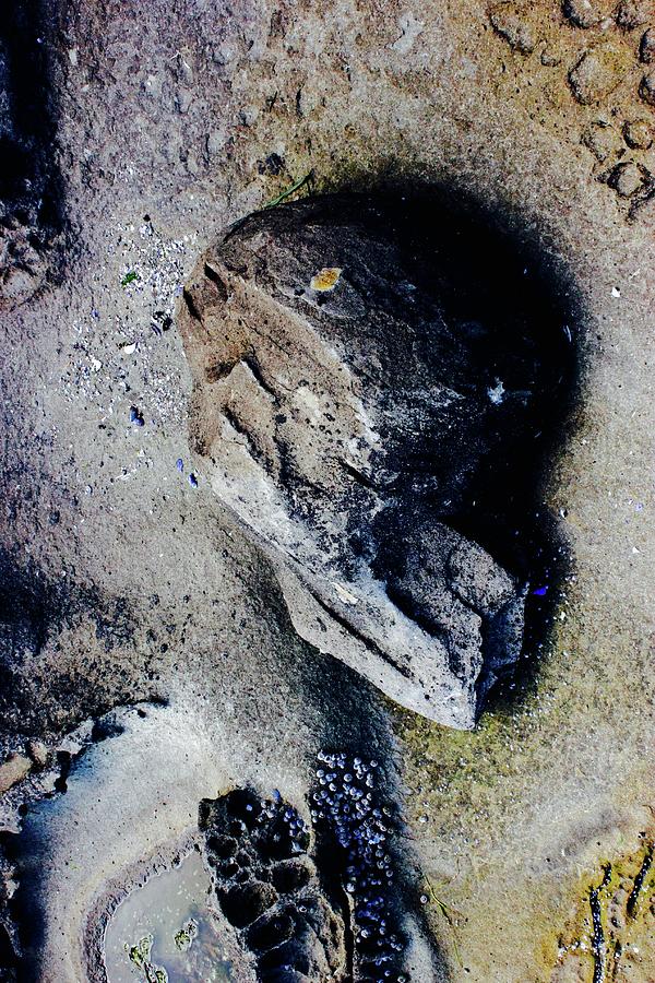 Skull And Body in the rocks Photograph by Brian Sereda