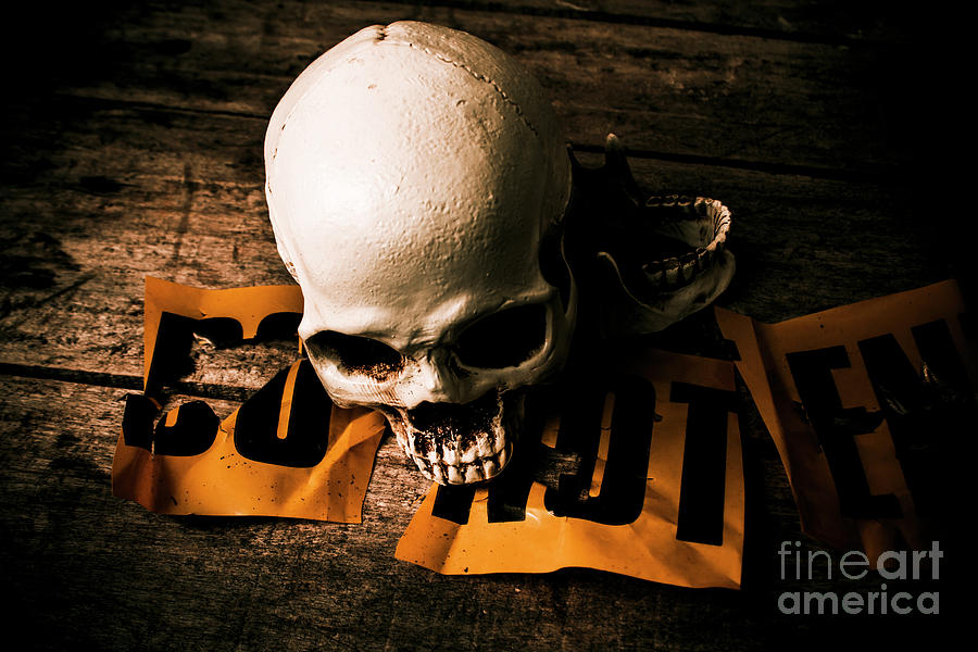 Skull and cross-examination  Photograph by Jorgo Photography