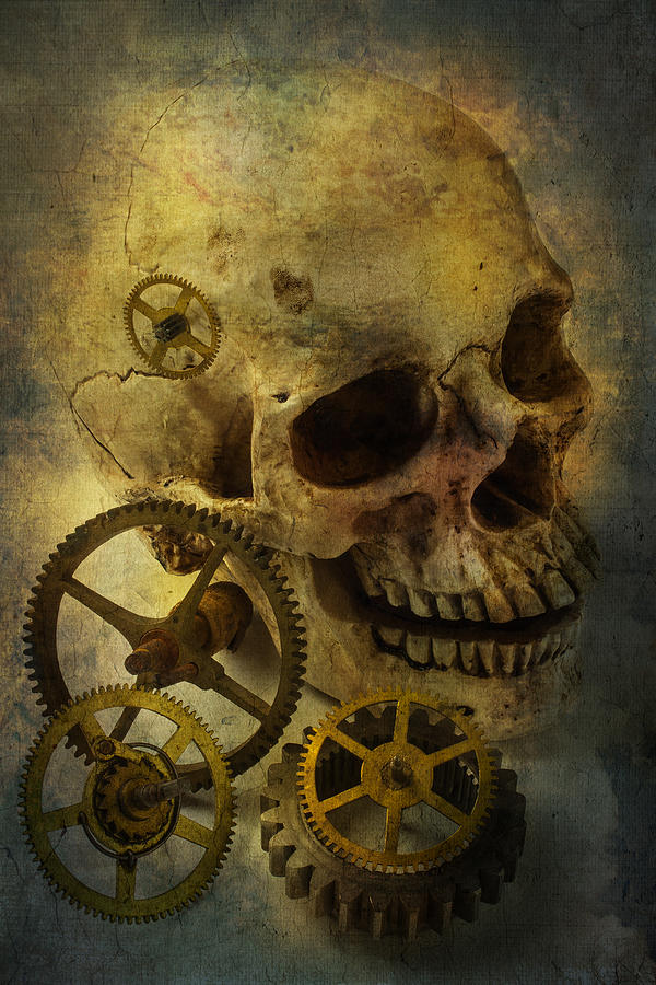 Skull Photograph - Skull And Gears by Garry Gay