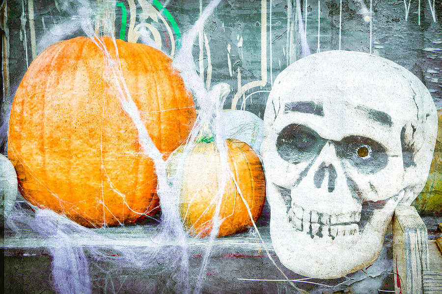 Fall Photograph - Skull and pumpkin by Tom Gowanlock