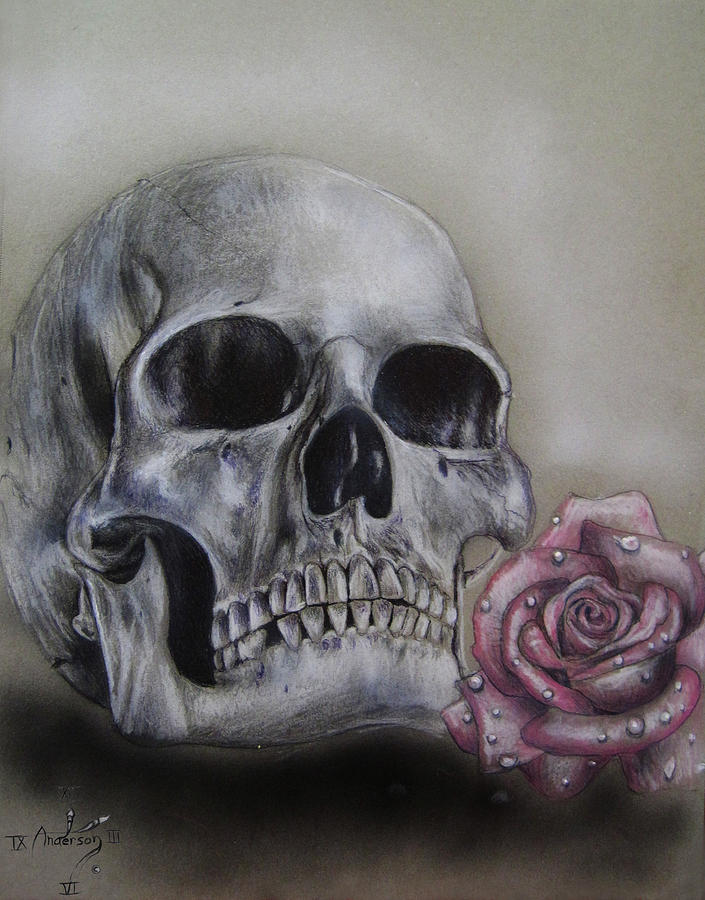 skull drawings with roses in color