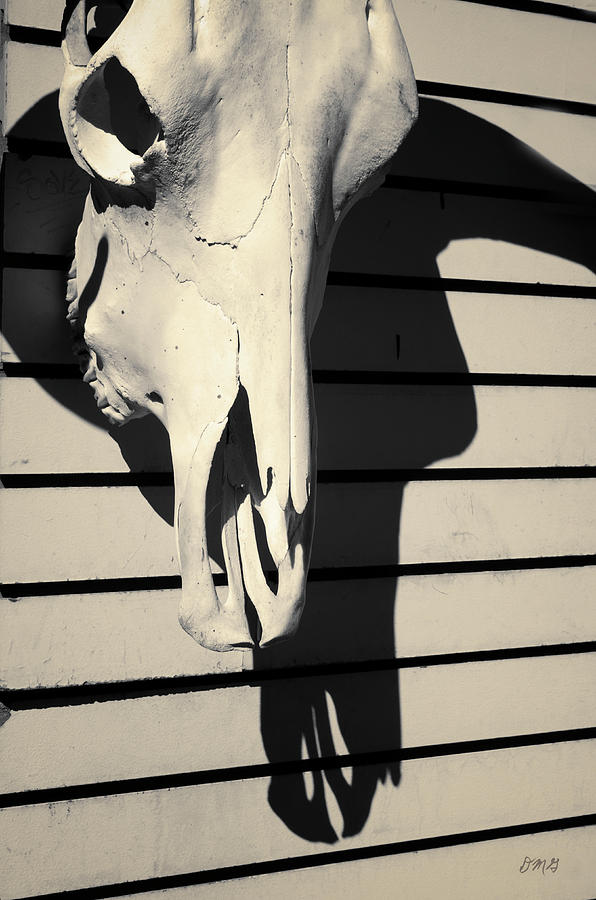 Black And White Photograph - Skull and Shadow Toned by David Gordon